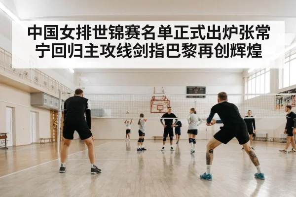 volleyball training court